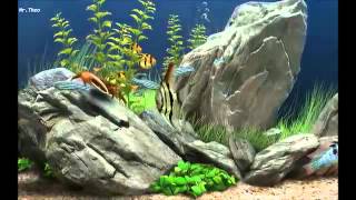 dream aquarium 1.2591